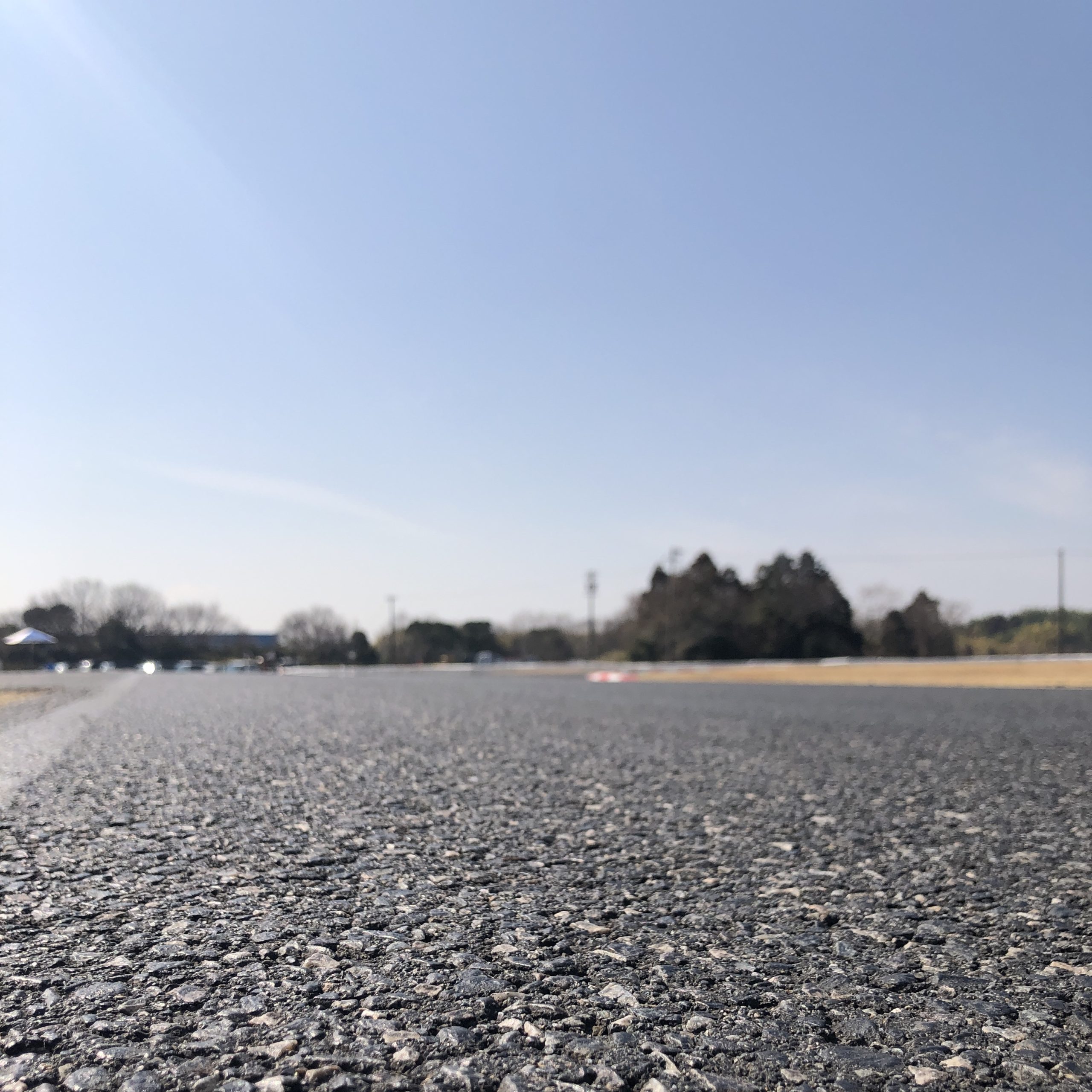 レースリザルト